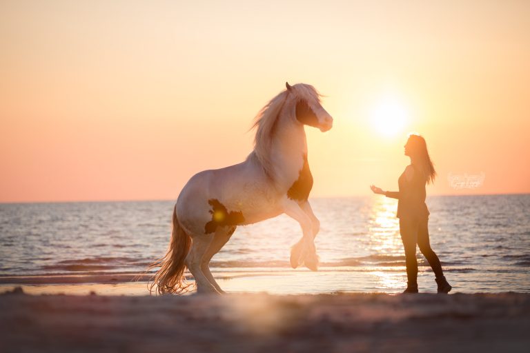 *Nancy & Manolo* *Nancy & Manolo*