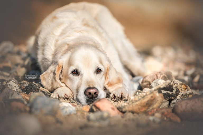 *Cuba* Entstanden beim "Meerliebe" Workshop mit purrpaws Fotografie und Mary Burmeister Fotografie *Cuba* Entstanden beim "Meerliebe" Workshop mit purrpaws Fotografie und Mary Burmeister Fotografie