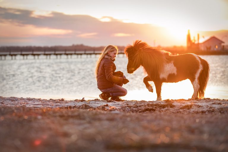 *Ruby mit Shetty* Entstanden beim "Meerliebe" Event mit purrpaws Fotografie und Mary Burmeister Fotografie *Ruby mit Shetty*